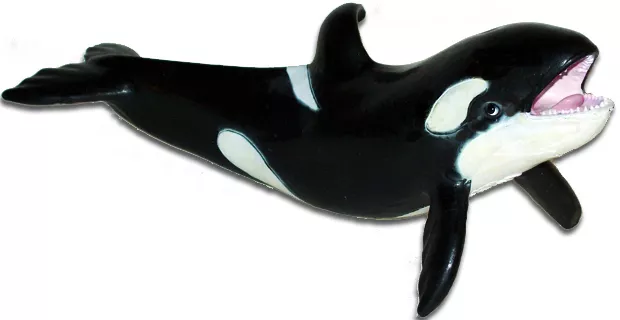 AAA 12834 Young Orca Killer Whale Sealife Toy Model Figurine Replica - NIP