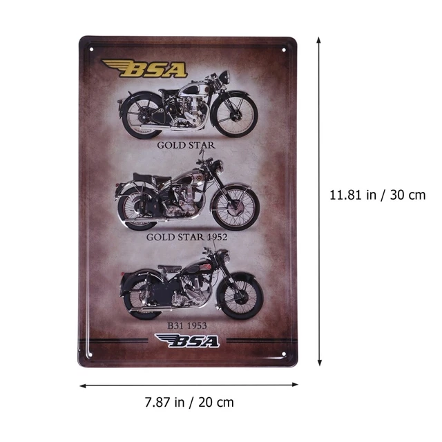 DCIDBEI Large Transparent Diamond Paitning Motorcycle 40 X 50 Cm