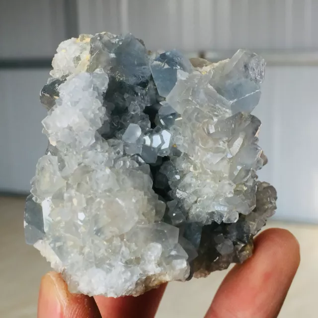 278G Natural Blue Celestite Geode Quartz Crystal Mineral Specimen N109