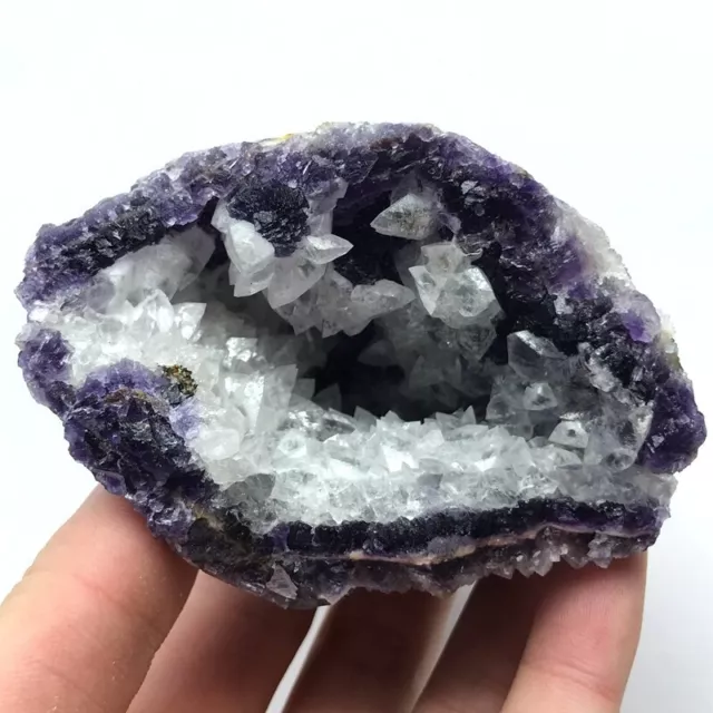 303G Rare Natural Fluorite Quartz Cluster Crystal Mineral specimen Healing