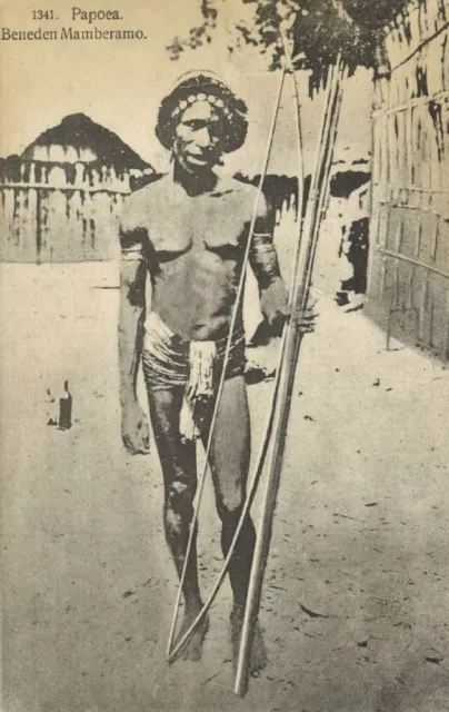 dutch new guinea, MAMBERAMO, Native Papua Warror with Bow and Arrow (1910s)