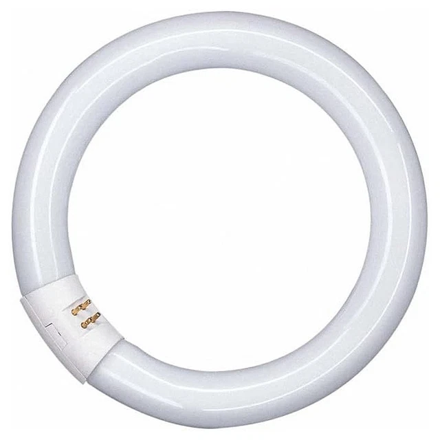 Lampe Fluorescente Anneau T4 22W 865 Kalweiß 6500K Lumière Jour - G10q - Neuf