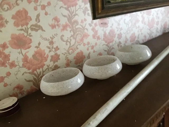 Lot de 3 Globes Tulipes pour Lampe Lustre Applique années 60/70 verre Clichy