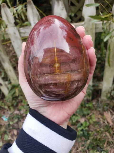 3.5" 756g Petrified Wood Fossil Egg Stone Crystal Quartz Red Purple w/ STAND