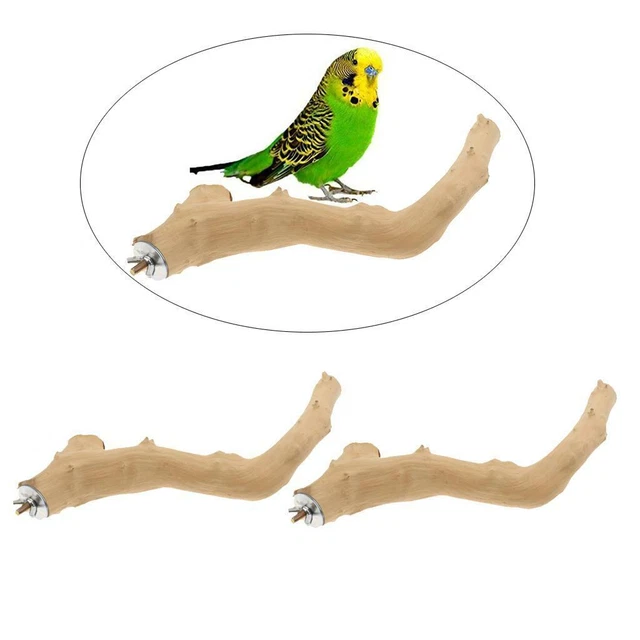 2x Holzvogel Liefert  Ständer Pole Canaries Finches Barsch