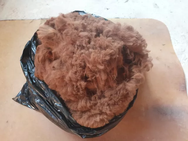 Rockleigh Alpacas - Alpaca Fleece - Brown - Eclair - 500g