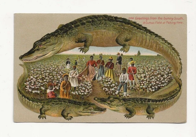 Beautiful Early Alligator Border Sunny South Greetings African American Card 655