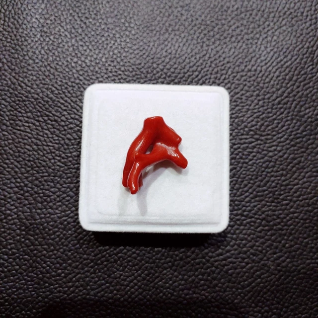 Branche De Corail Rouge Naturel Italien Poli - 3.25 Carats - Pierre Précieuse 100% Naturelle