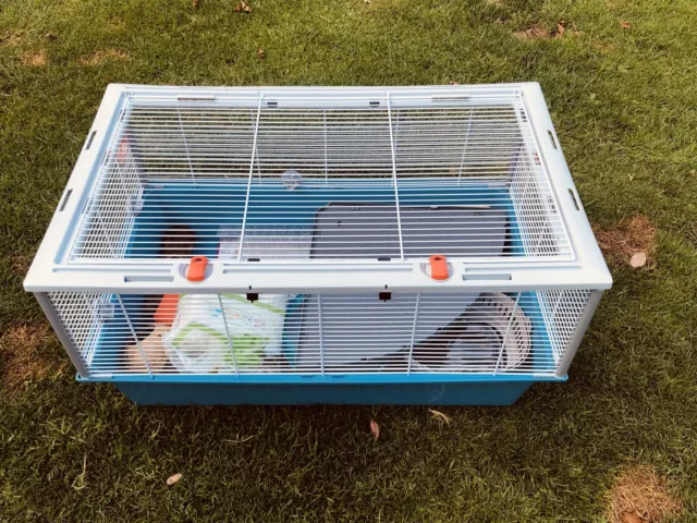 Notcutts deals hamster cage