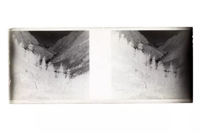 France Montagne Photo Amateur Stereo L15n22 Plaque de verre Vintage NEGATIF