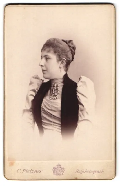 Photography C. Pietzner, Vienna, Mariahilferstr, 1b, portrait of woman Elsa in dress m