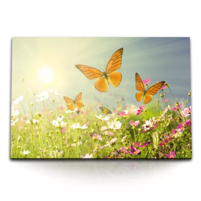 120x80cm Wandbild auf Leinwand Sommerwiese Blumenwiese Schmetterlinge Sonnensche