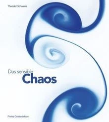 DAS SENSIBLE CHAOS: Strömendes Formenschaffen in Wass... | Livre | état ...
