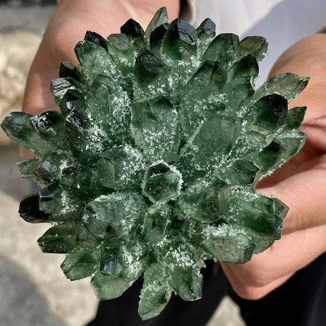 1.30LB New Find Green Phantom Quartz Crystal Cluster Mineral Specimen Healing 12