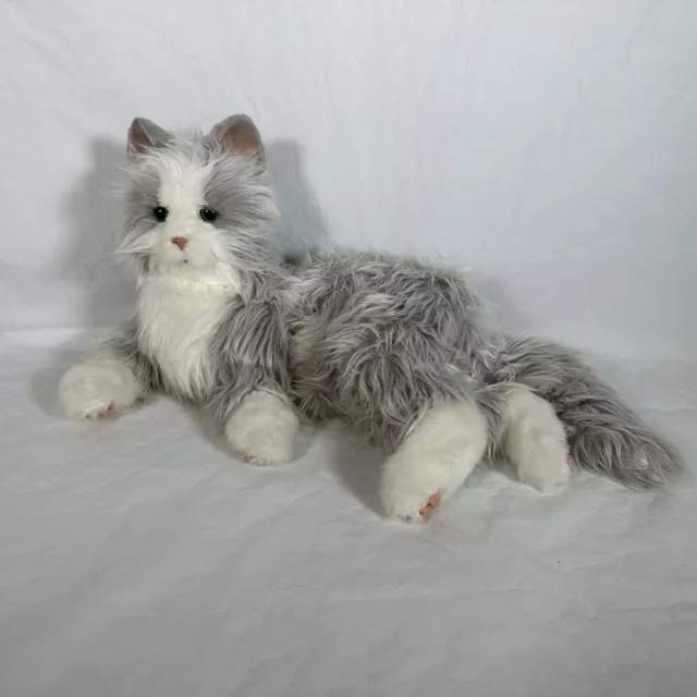https://www.picclickimg.com/N8EAAOSwMfhlTaWE/Joy-For-All-Hasbro-Cat-Companion-Pet-2015.webp