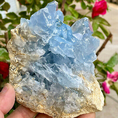 2.07LB Natural blue celestite geode quartz crystal mineral specimen healing