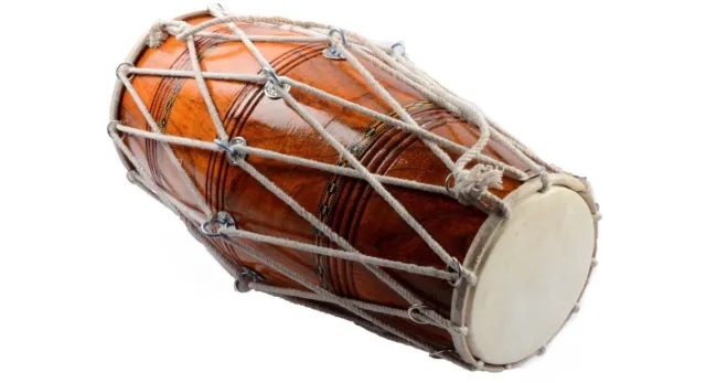 Indian Professional Bina Dholak no. 35 TR Musical Instrument With Bag 2