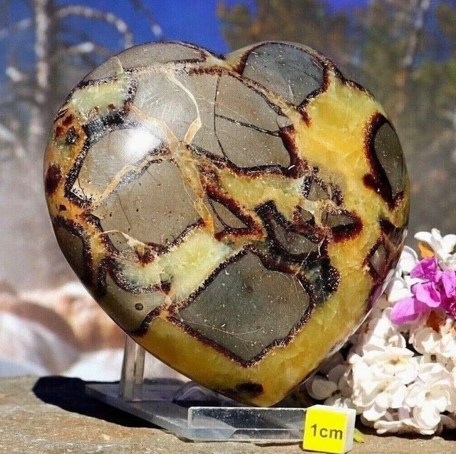 Septarian Nodule Heart - Large Polished Geode Natural Raw Healing Mineral 588g