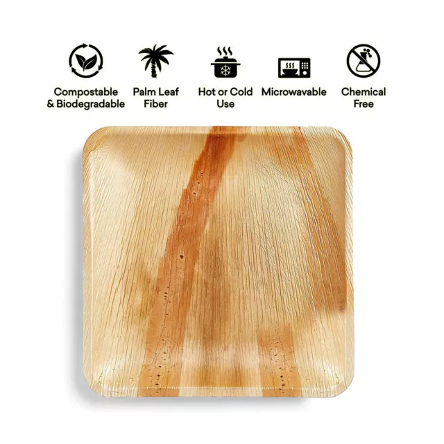 25 X Square Palm Leaf Plates Natural Eco Friendly Disposable Catering Party BBQ