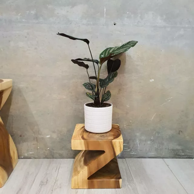 Z Shape 25cm Plant Stand/Stool/Side Table/Corner Table Raintree Wood Mango Trees