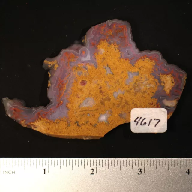 Cathedral Agate Lapidary Rock Slab #4617