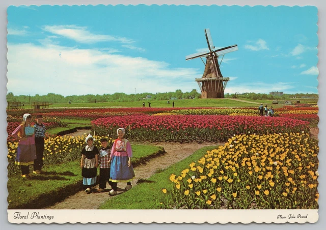 Flowers~Holland Michigan~Tulips & Windmill~Dutch Children~Continental Postcard
