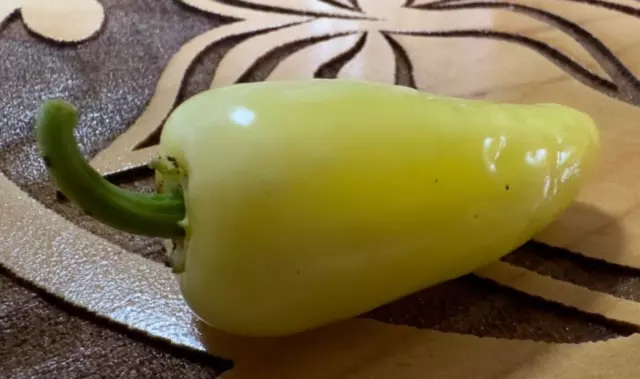 Rare White Jalapeno Chilli 10 Seeds  Grown in Brisbane