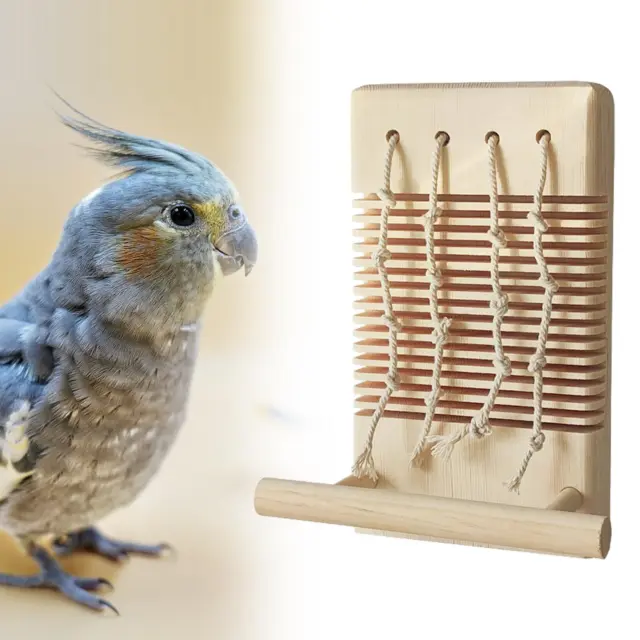 Jouets à mâcher pour perroquets, accessoires pour Cage à oiseaux,