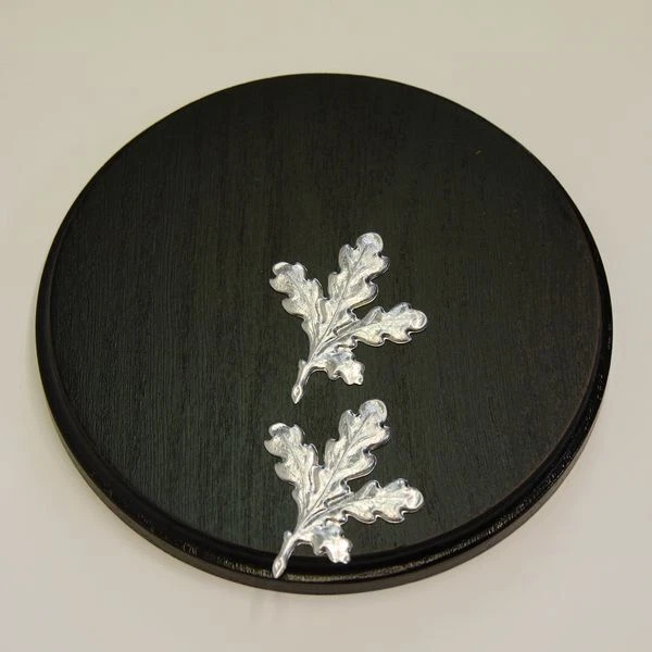 Placa de Jabalí Tablero Keiler Escudo de Trofeo Redondo Oscuro Af 17 CM Con 2X