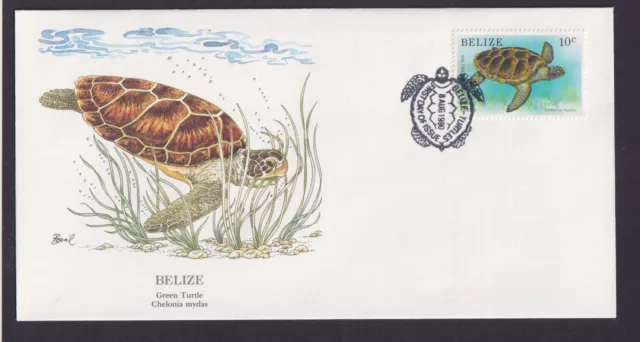 Belize Central America Fauna Animals Soup Turtle Beautiful Artist Letter