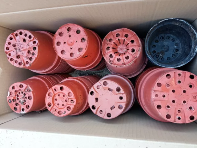 Lote 120 Macetas 12-13 cms diam. usadas de plástico inyectadas para plantas