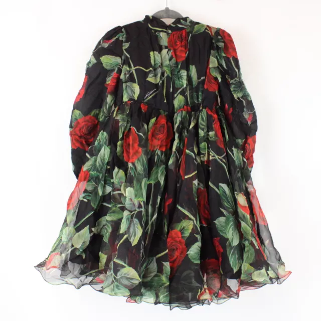 Dolce & Gabbana Long Sleeve Rose Print Chiffon Dress in Black/Green/Red - 24-30M 2