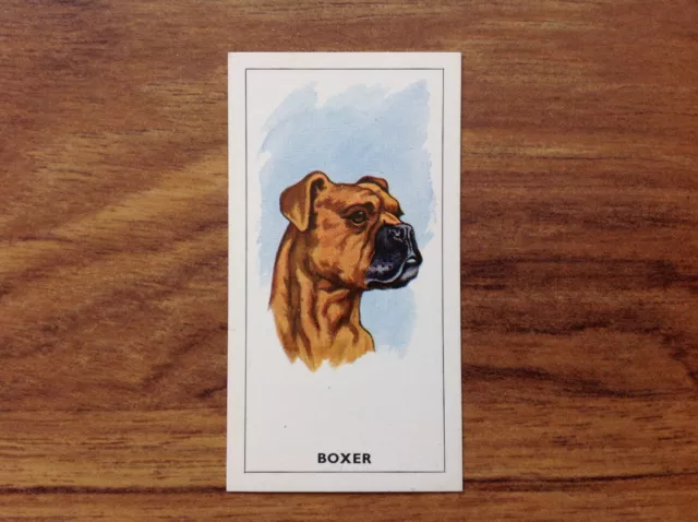 GP Tea Dogs Heads Boxer Card . Free UK Postage