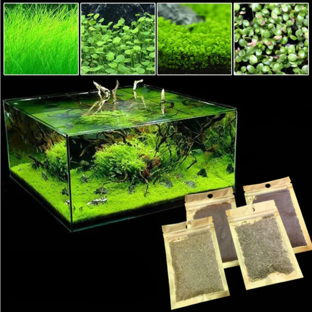AQUARIUM PLANT SEEDS Fish Tank Water Grass Ground Covering Plants