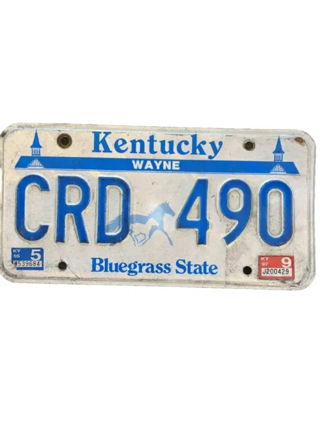 Kentucky Wayne County license plate Very Rare! Bluegrass State 1997