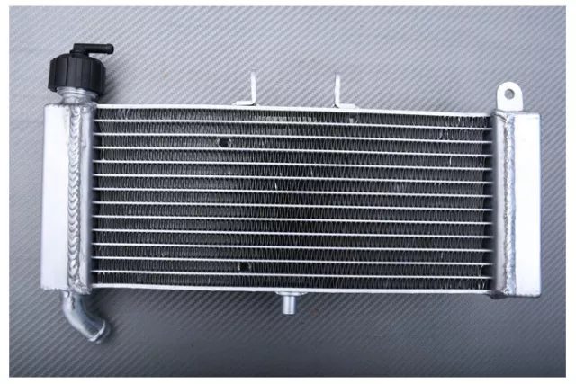 Radiateur d Eau Type Racing en Aluminium APRILIA Tuono 125 KC1 2021-2022