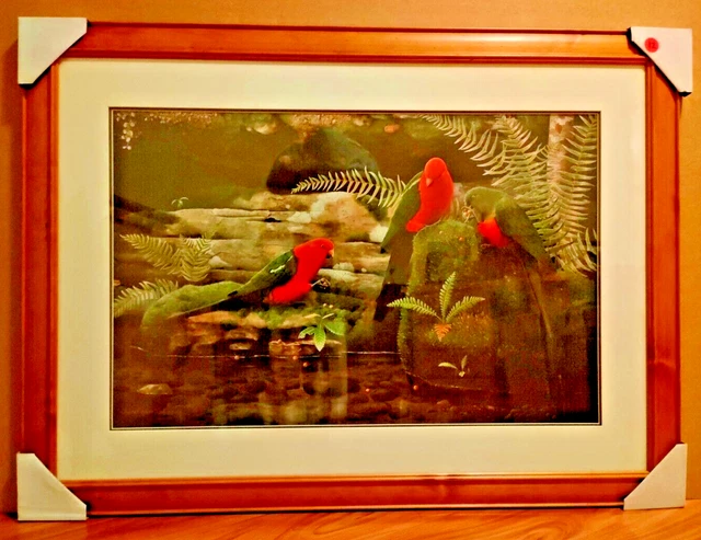 Rachel Lewis "King Parrots" Framed High Quality Print Double Mats w/Glass LARGE
