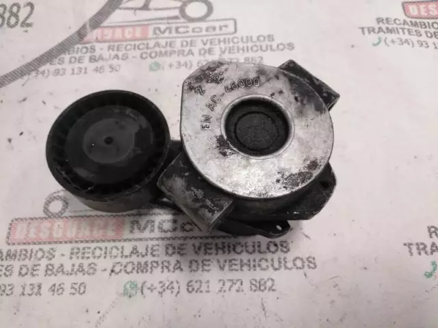 6C1Q6A228AB galet tendeur pour PEUGEOT BOXER CAJA CERRADA 2007 - ) 2006 116645