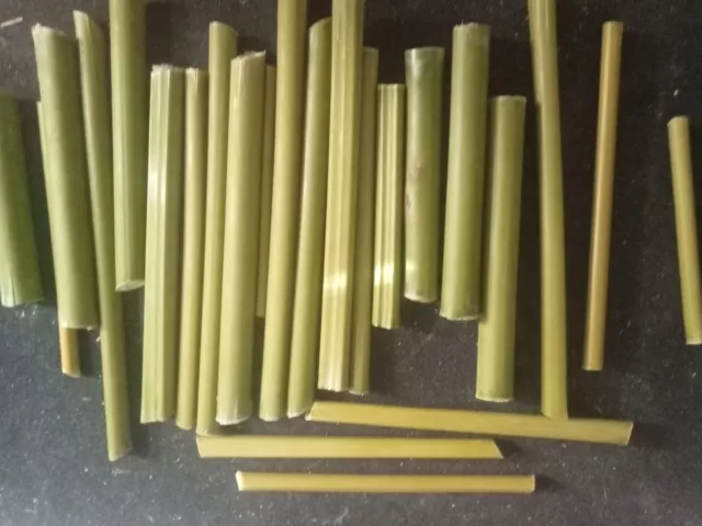 5 Cannucce di Bambù. Pippotto, Cerbottana. Pippotti per tirare quello che vuoi.