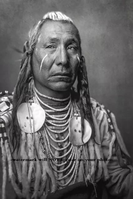 1908 Chief Red Wing PHOTO Portrait Native American Indian Leader, Edward Curtis