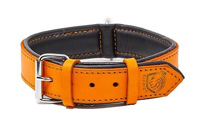 Riparo Genuine Leather Padded Dog Heavy Duty K-9 Adjustable Collar - Orange
