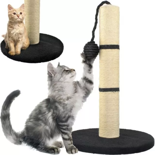 Arbre à Chat 45 cm Griffoir Simple Grattoir avec Jouet PonPon pour Jeu Griffes