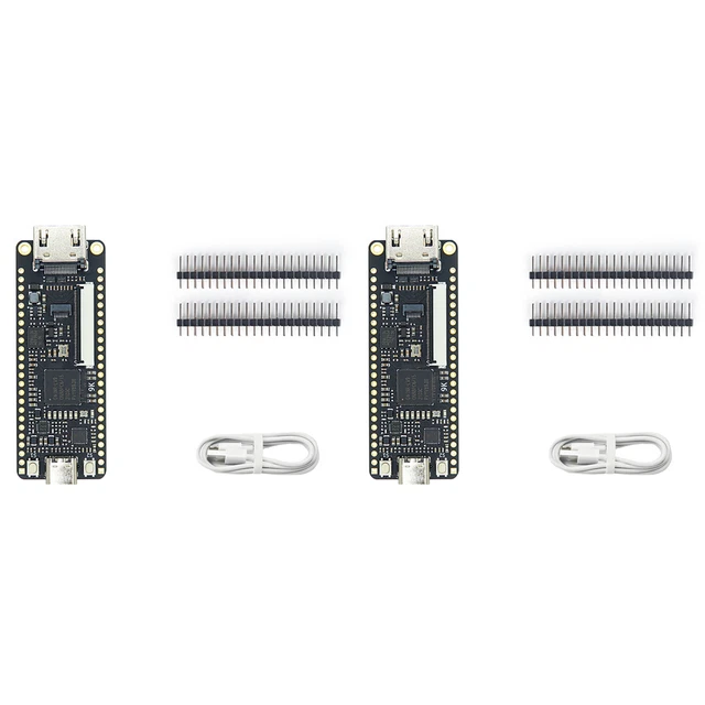 2X for Sipeed   9K FPGA Development Board GOWIN GW1NR-9 RISC-V  with Type C9163
