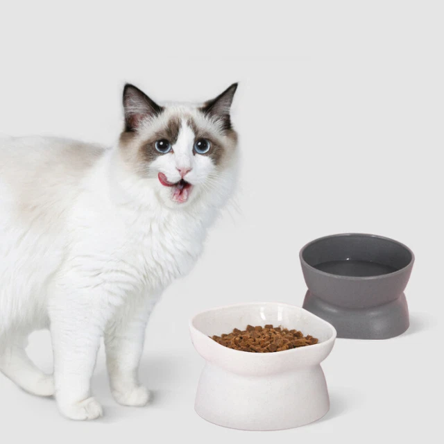 Pet Cat Bowls Stand Dog Elevated Feeder Food Water Raised Lifted Tilted Bowl NEW