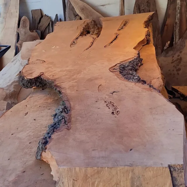 Olive walnut alder white ash   Root Wood slice slab  epoxy  coffee dinning table