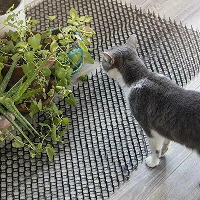 10 pièces tapis antiparasitaires de jardin efficace répulsif anti-chat