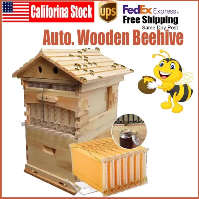 Fir Wooden Auto Bee Hives Boxes Honey Langstroth Beehive +7pcs Beekeeping Frames