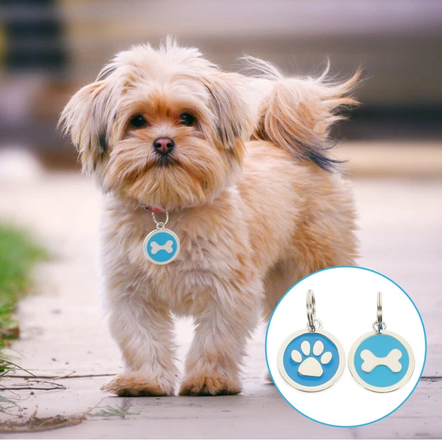 2 PIEZAS PET CAT DOG ID etiquetas información para mascotas grabado etiquetas nombre etiquetas para