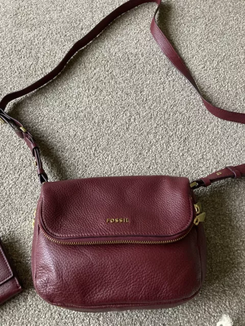 Fossil preston hotsell crossbody maroon