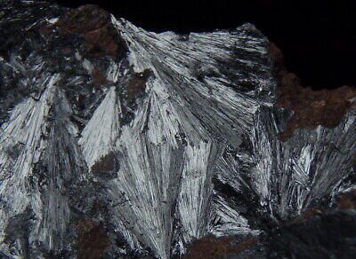 PYROLUSITE - beautiful lustrous crystals on matrix --- MOROCCO Imini Mine /pf190